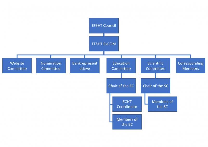 organogram EFSHT2022.jpg